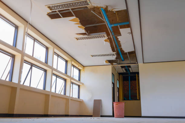 Best Mold removal after water damage  in Brentwood, MD