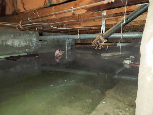 Water damage restoration insurance claims in MD