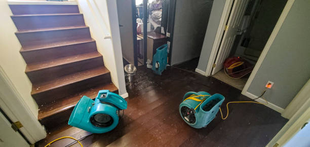 Best Flooded house restoration  in Brentwood, MD