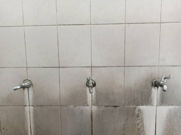 Best Water damage restoration specialists  in Brentwood, MD