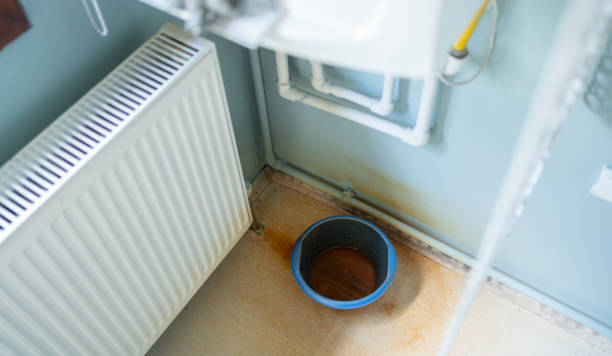 Best Flood damage cleanup  in Brentwood, MD